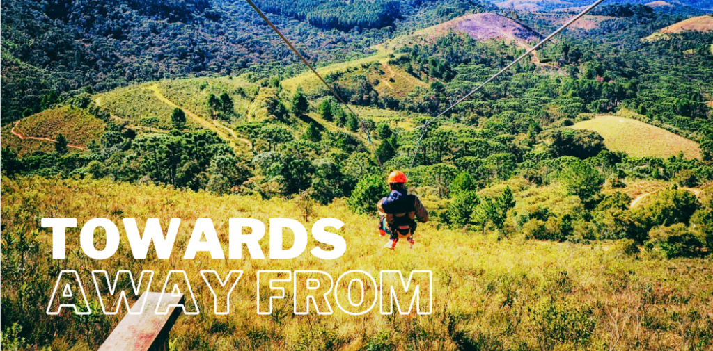 meta program towards or away from