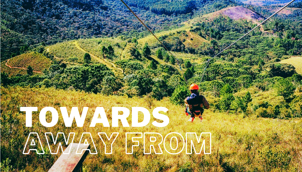 meta program towards or away from